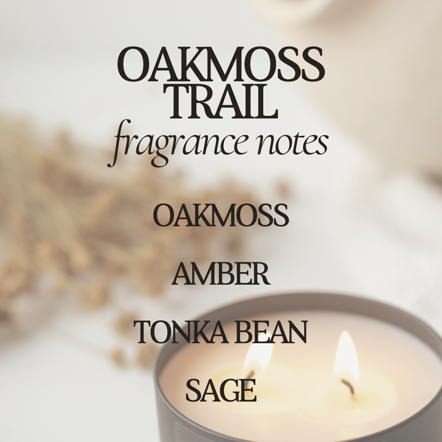 Oakmoss Trail 12 oz Soy Candle - Earthy Home Decor & Gifts