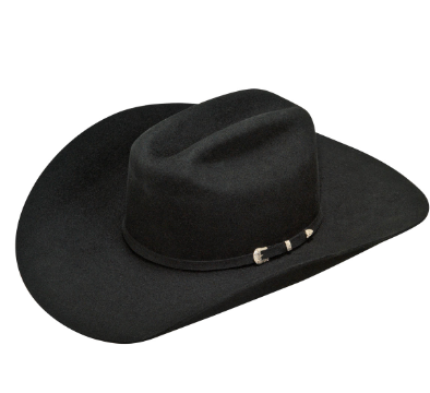 Ariat 2X Wool Black Double S