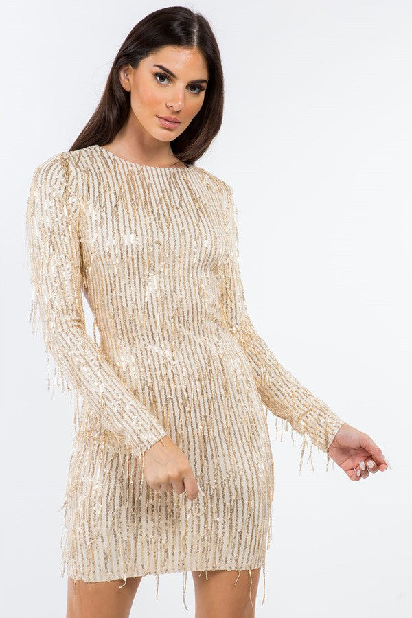 Long Sleeve Sequins Mini Dress With Fringe