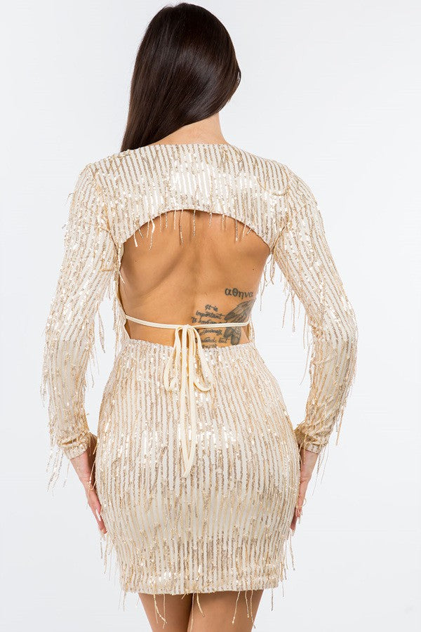 Long Sleeve Sequins Mini Dress With Fringe