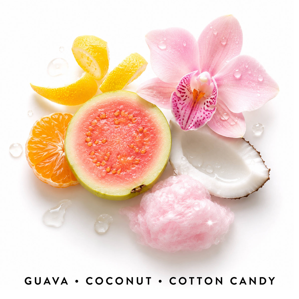 SOLSTICE Perfume with Coconut, Guava + Spun Sugar