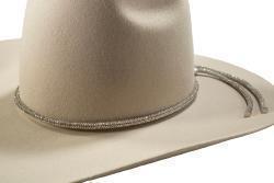 3D Hatband 1/4" Rhinestoned Band Silver