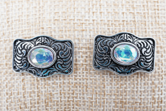 TIPI Iridescent Canyon Crest Silvertone Earrings