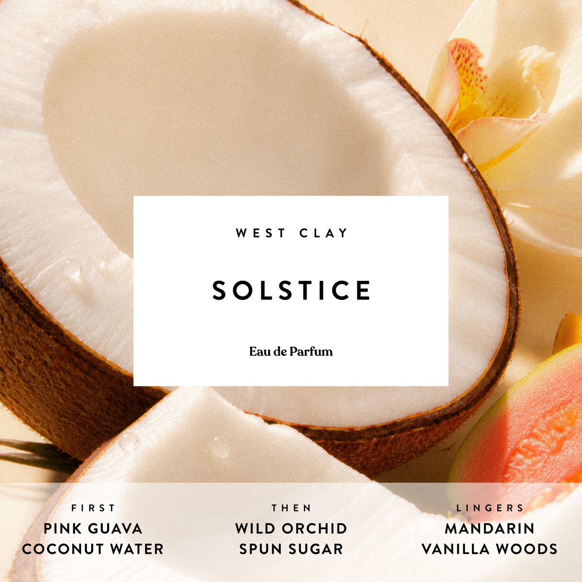SOLSTICE Perfume with Coconut, Guava + Spun Sugar